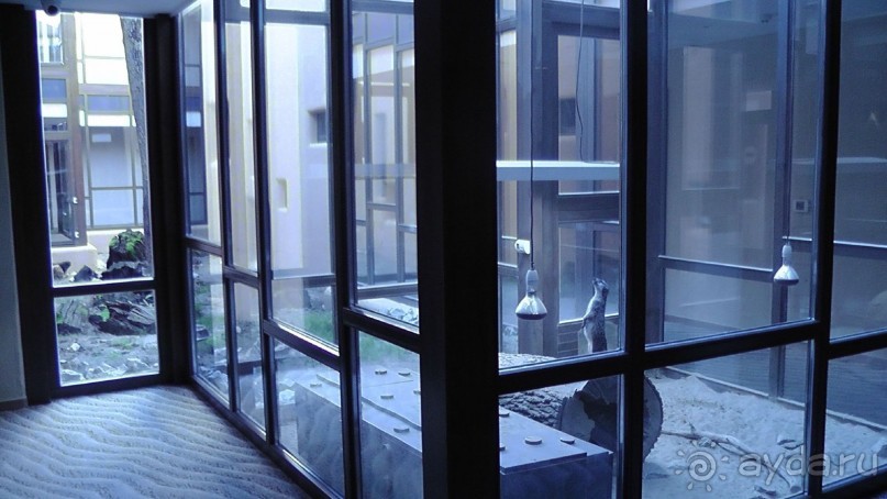 Это Венгрия! SPA Отель «Bambara».