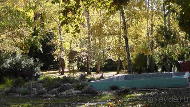 Это Венгрия! SPA Отель «Bambara».