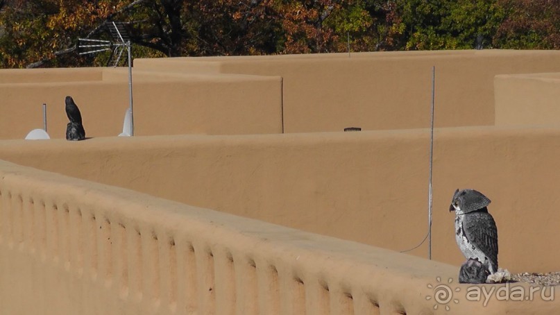 Это Венгрия! SPA Отель «Bambara».