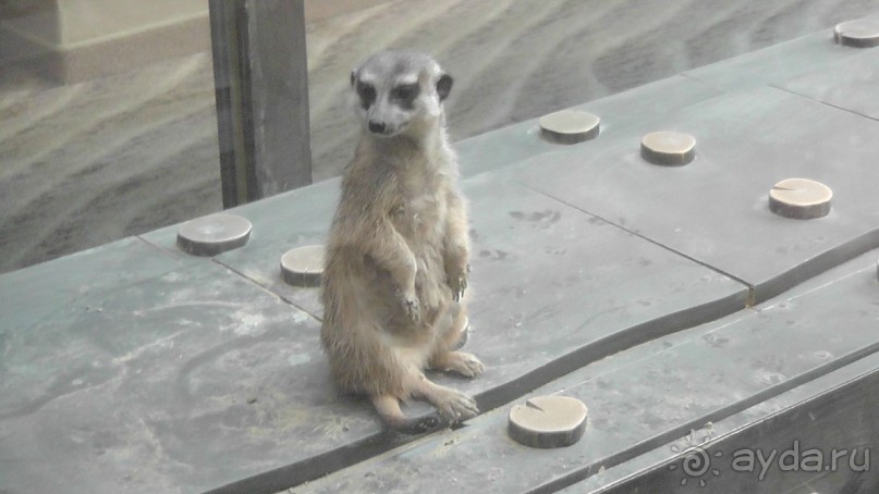 Это Венгрия! SPA Отель «Bambara».