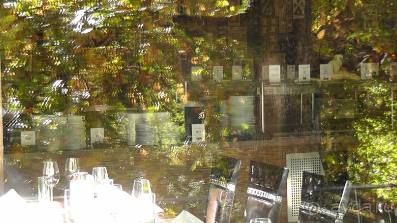 Это Венгрия! SPA Отель «Bambara».