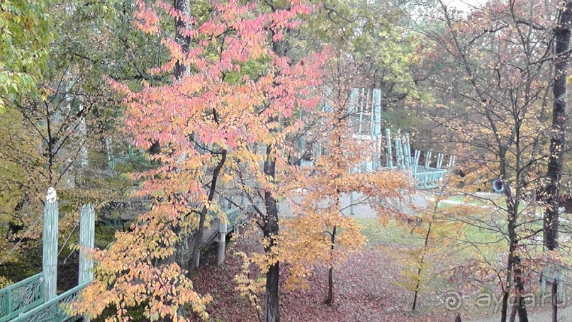 Это Венгрия! SPA Отель «Bambara».