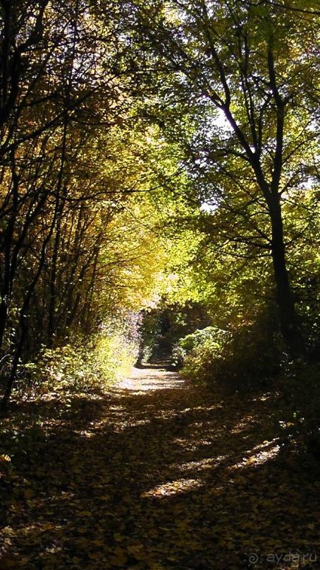 Это Венгрия! SPA Отель «Bambara».