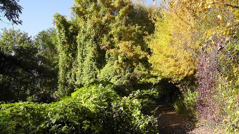 Это Венгрия! SPA Отель «Bambara».