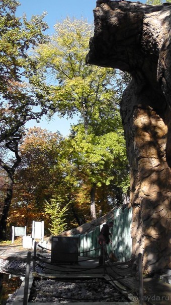 Это Венгрия! SPA Отель «Bambara».