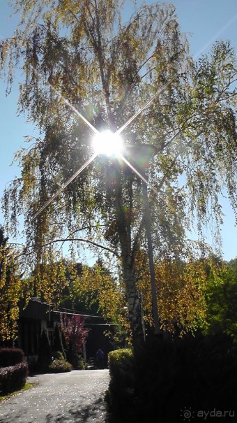 Это Венгрия! SPA Отель «Bambara».