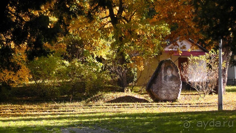 Это Венгрия! SPA Отель «Bambara».