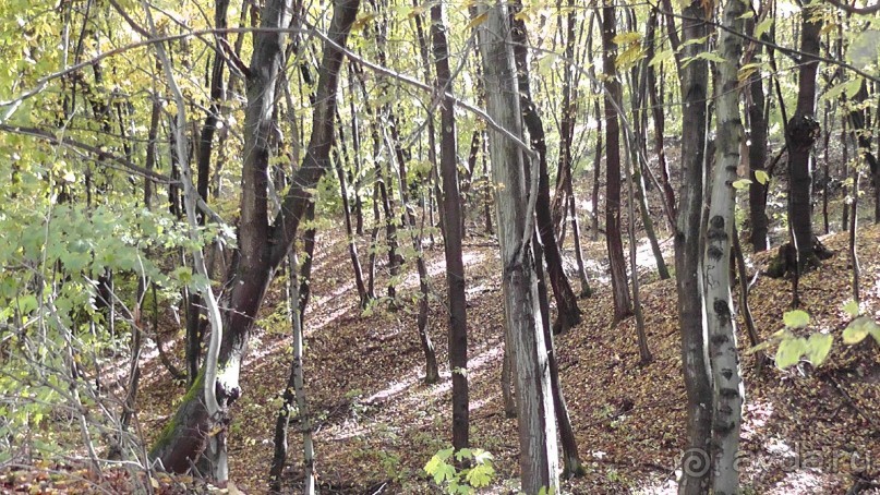 Это Венгрия! SPA Отель «Bambara».