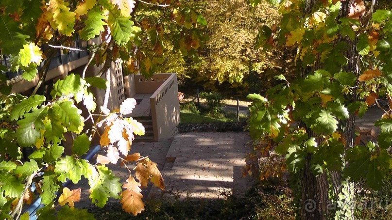 Это Венгрия! SPA Отель «Bambara».