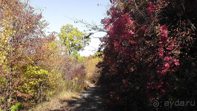 Это Венгрия! SPA Отель «Bambara».