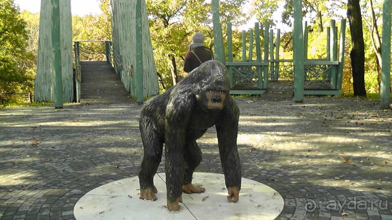 Это Венгрия! SPA Отель «Bambara».