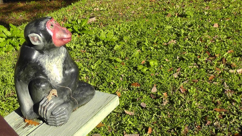 Это Венгрия! SPA Отель «Bambara».