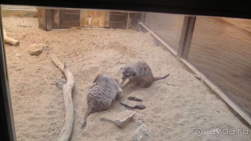 Это Венгрия! SPA Отель «Bambara».