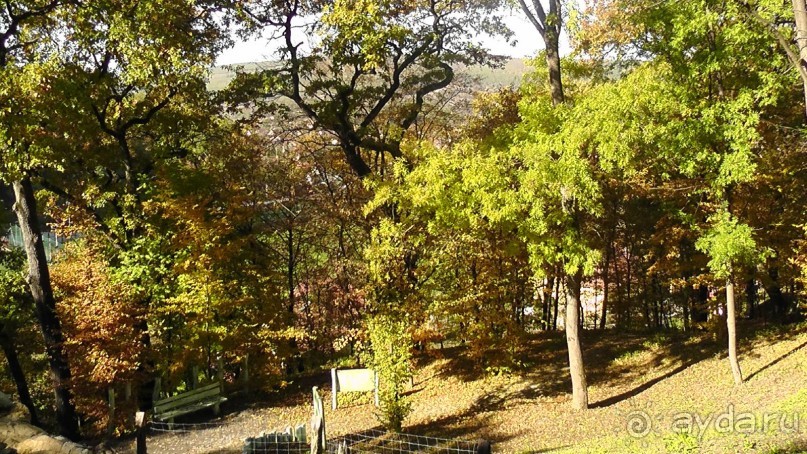 Это Венгрия! SPA Отель «Bambara».