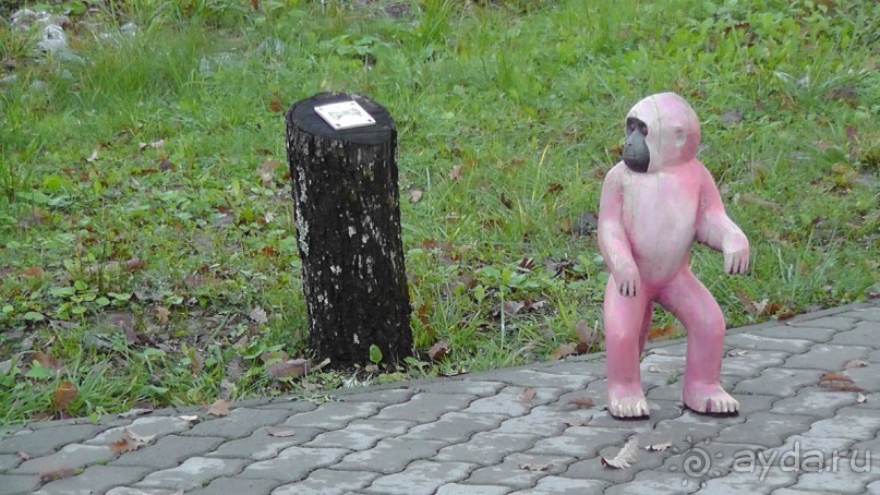 Это Венгрия! SPA Отель «Bambara».