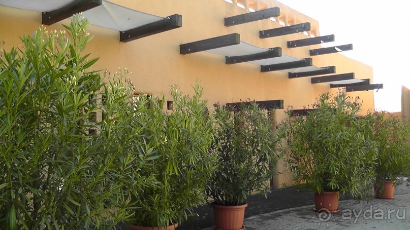 Это Венгрия! SPA Отель «Bambara».