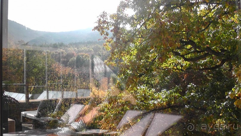 Это Венгрия! SPA Отель «Bambara».