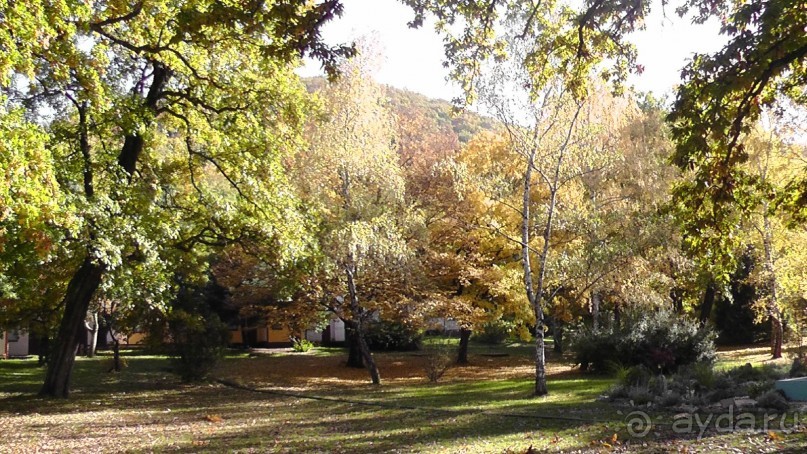 Это Венгрия! SPA Отель «Bambara».