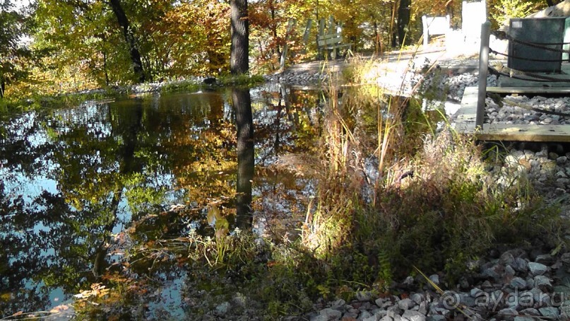 Это Венгрия! SPA Отель «Bambara».