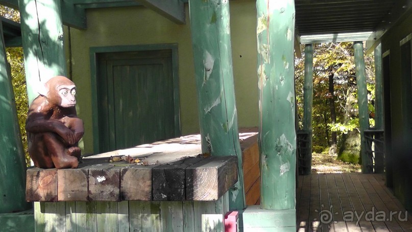 Это Венгрия! SPA Отель «Bambara».