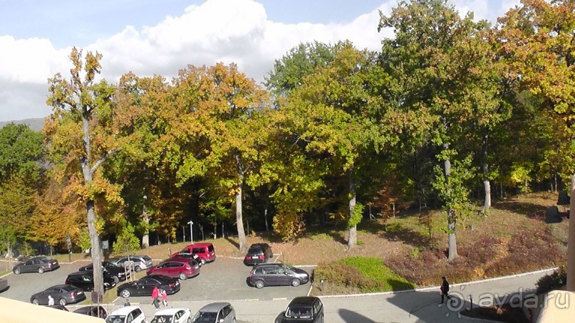 Это Венгрия! SPA Отель «Bambara».