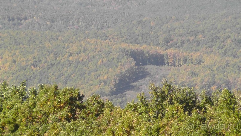 Это Венгрия! SPA Отель «Bambara».