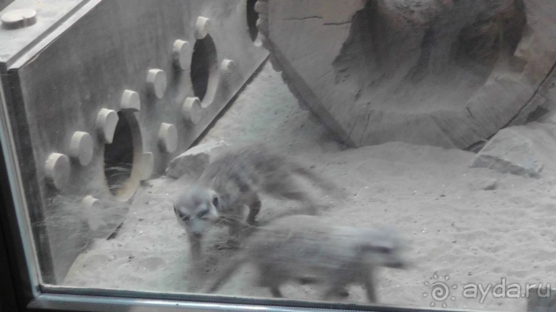 Это Венгрия! SPA Отель «Bambara».