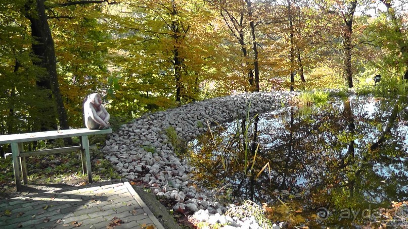 Это Венгрия! SPA Отель «Bambara».