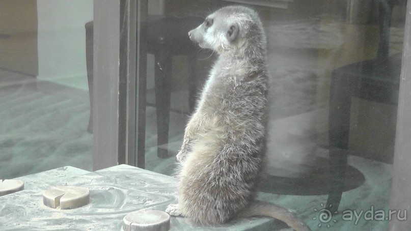 Это Венгрия! SPA Отель «Bambara».