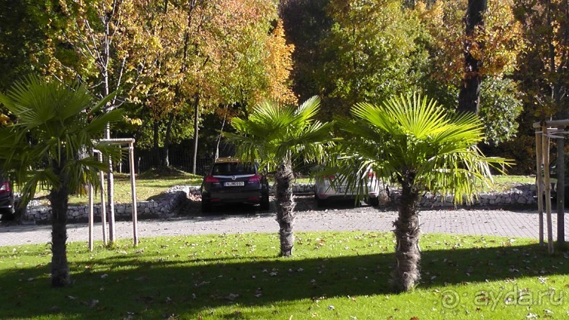 Это Венгрия! SPA Отель «Bambara».