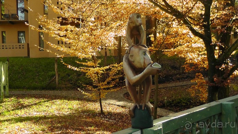 Это Венгрия! SPA Отель «Bambara».