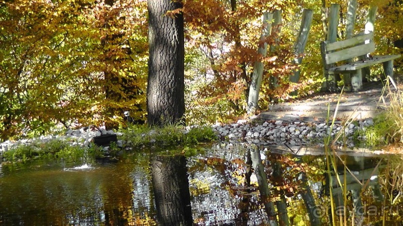 Это Венгрия! SPA Отель «Bambara».