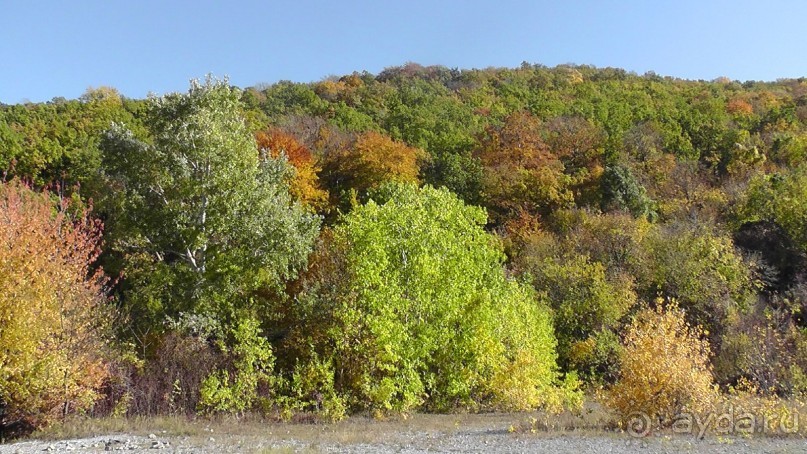 Это Венгрия! SPA Отель «Bambara».