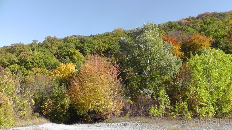 Это Венгрия! SPA Отель «Bambara».