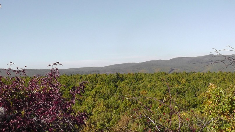 Это Венгрия! SPA Отель «Bambara».