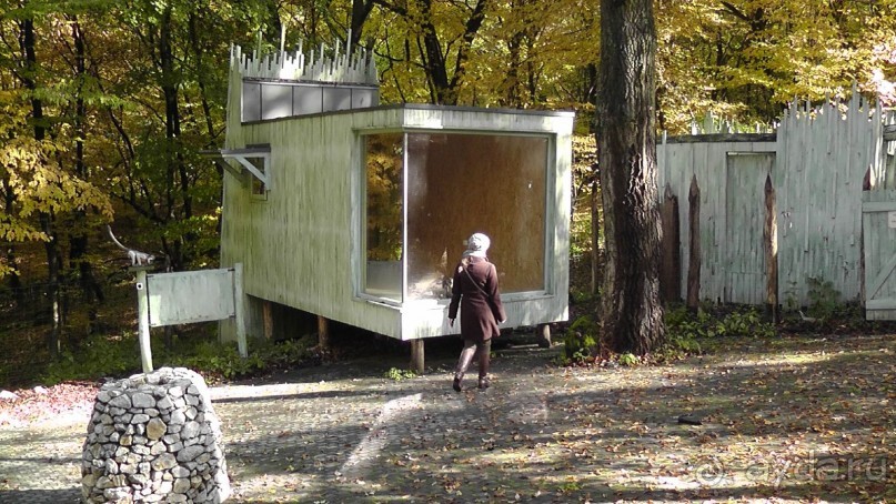 Это Венгрия! SPA Отель «Bambara».