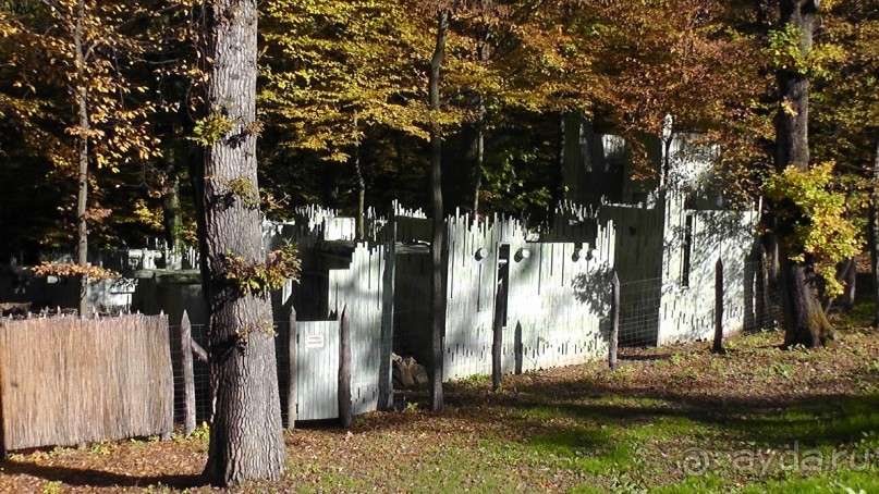 Это Венгрия! SPA Отель «Bambara».