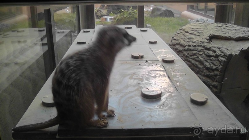 Это Венгрия! SPA Отель «Bambara».