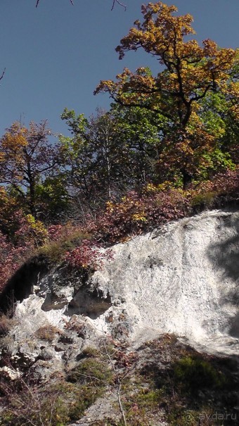 Это Венгрия! SPA Отель «Bambara».