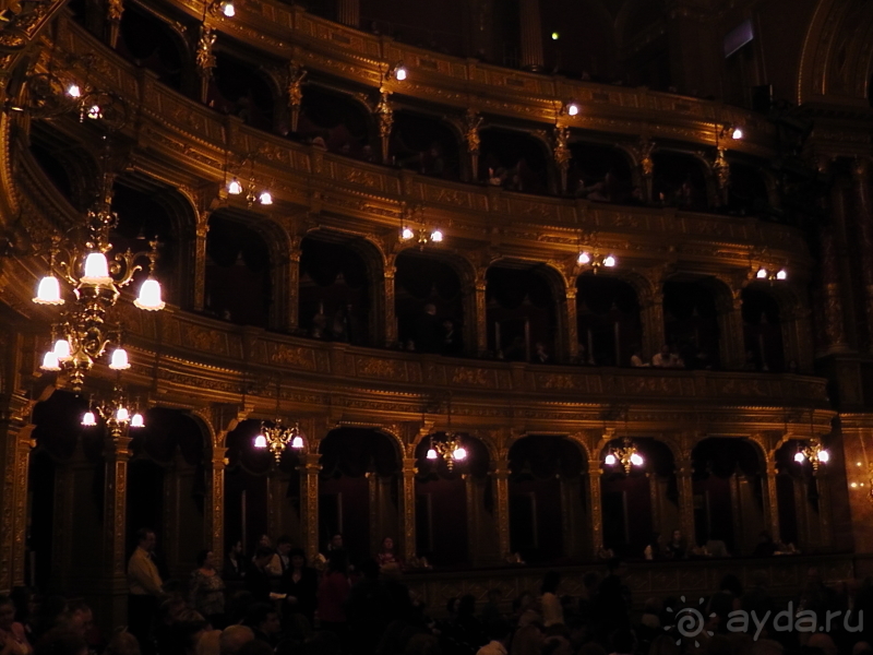 фото Marhaba Club