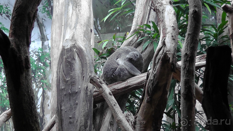 Cаксония, Германия. Лейпцигский зоопарк и Ботанический сад.