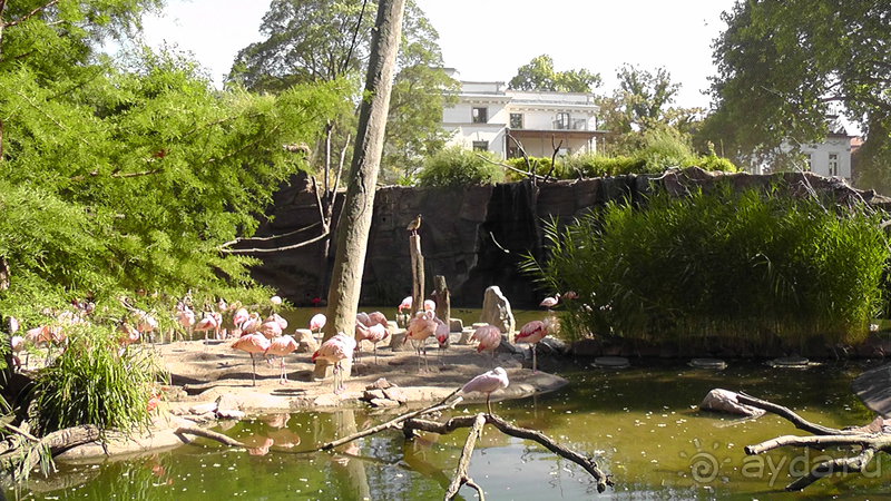 Cаксония, Германия. Лейпцигский зоопарк и Ботанический сад.