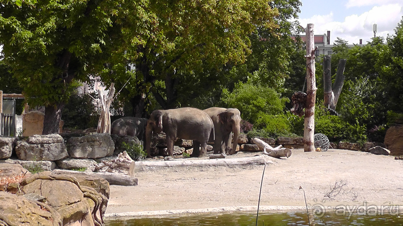 Cаксония, Германия. Лейпцигский зоопарк и Ботанический сад.
