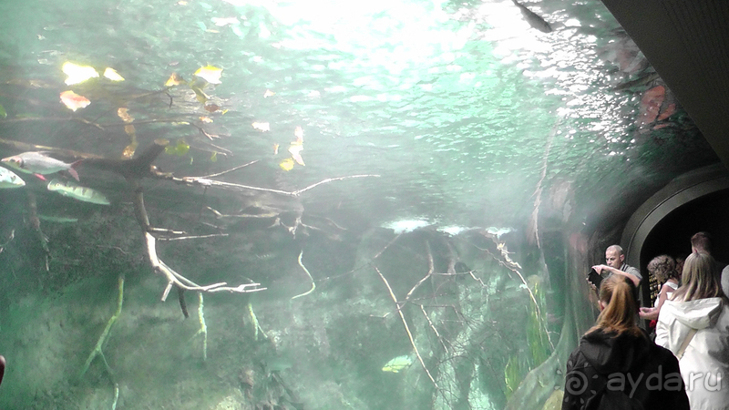 Cаксония, Германия. Лейпцигский зоопарк и Ботанический сад.