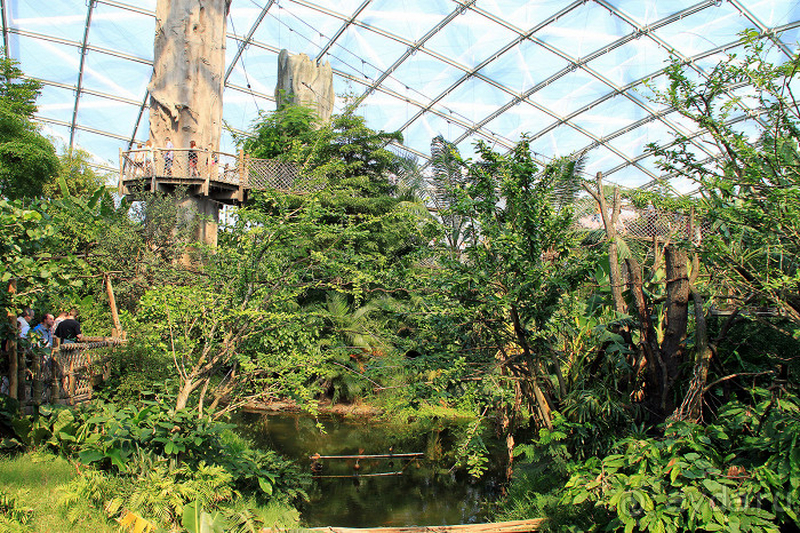 Cаксония, Германия. Лейпцигский зоопарк и Ботанический сад.