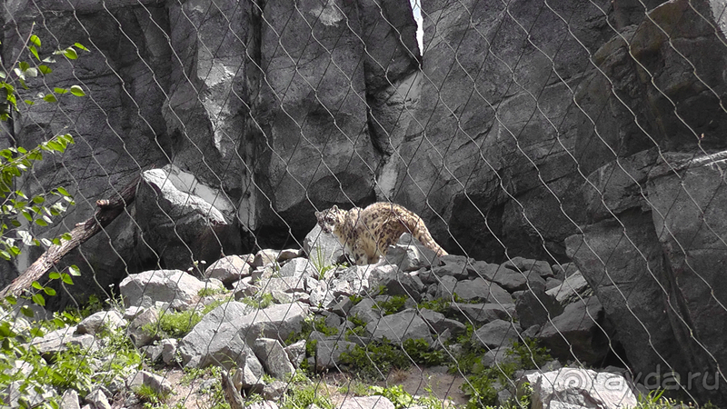 Cаксония, Германия. Лейпцигский зоопарк и Ботанический сад.