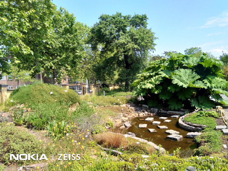 Cаксония, Германия. Лейпцигский зоопарк и Ботанический сад.