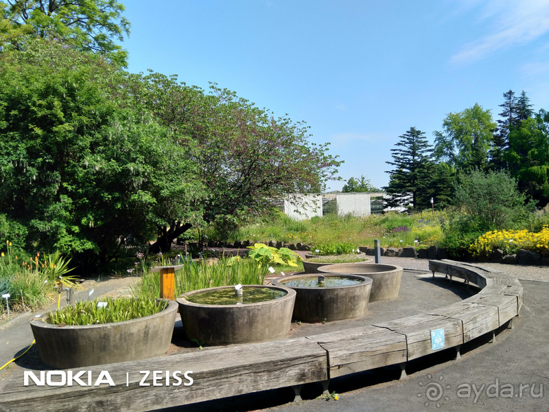 Cаксония, Германия. Лейпцигский зоопарк и Ботанический сад.