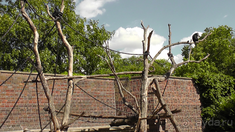 Cаксония, Германия. Лейпцигский зоопарк и Ботанический сад.