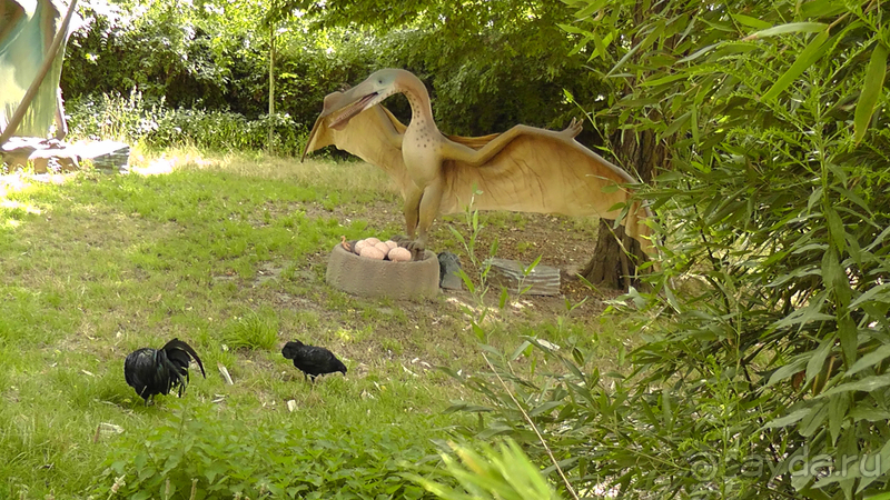 Cаксония, Германия. Лейпцигский зоопарк и Ботанический сад.